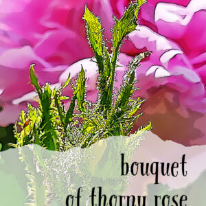 cover contains a computer pixelated image of roses and leaves, and the title and author, Sossity Chiricuzio, in black letters